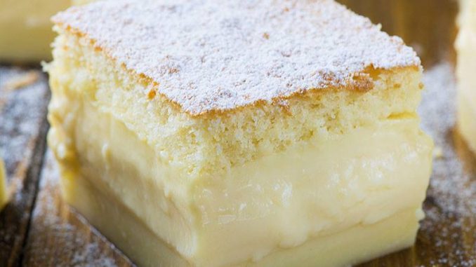 Biskuit Puddingkuchen