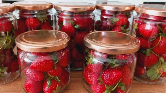 Bauerntrick um Erdbeeren 2 volle Jahre frisch zu halten