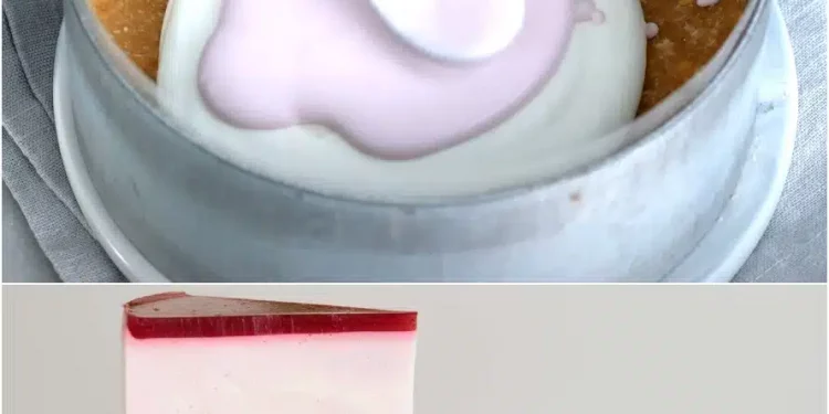 Ultimativer Kasekuchen mit Himbeeren