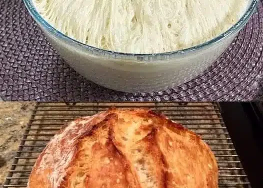 Das einzige Brot Rezept den du unfallfrei wenden kannst! Brot ohne Kneten