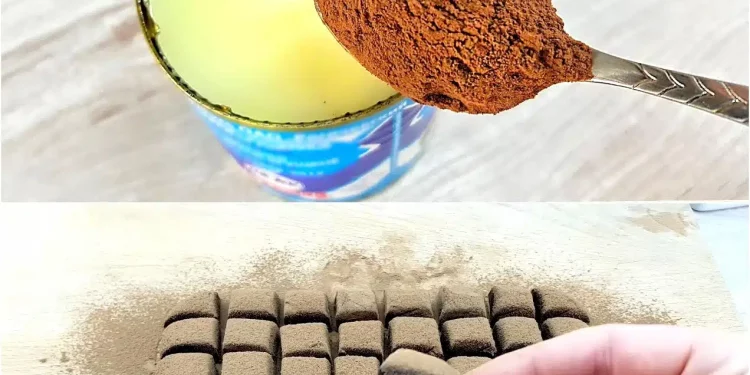 Mischen Sie Kondensmilch und Kakao, Sie werden vom Ergebnis begeistert sein! Köstlich zum Tee