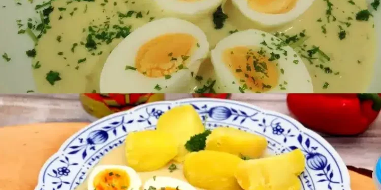 Eier in Senfsauce – Ein wahrer Traum, Wahnsinnig lecker!