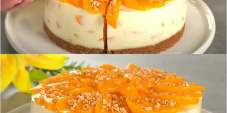 Weltbester Pfirsichkuchen! Jeder sucht nach einem Rezept für dieses Dessert! kein Backen!