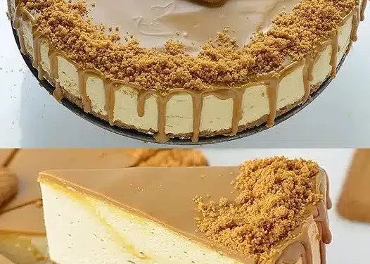 Blitz Käsekuchen ohne Backen, ich bin süchtig danach geworden!