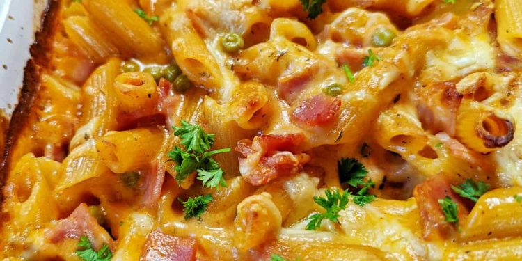Nudel-Schinken-Gratin: Ein leckeres, einfaches und preiswertes Gericht für jeden Tag, das besonders bei Kindern sehr gut ankommt