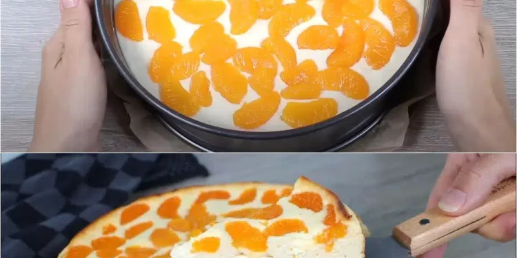 Der schnellste kuchen und so lecker mandarinen kuchen