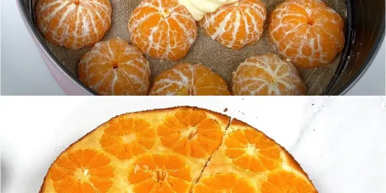 Machen sie unbedingt diesen weichen und fluffigen mandarinenkuchen!! Dieser kuchen ist eine kostliche beilage zu einer tasse kaffee