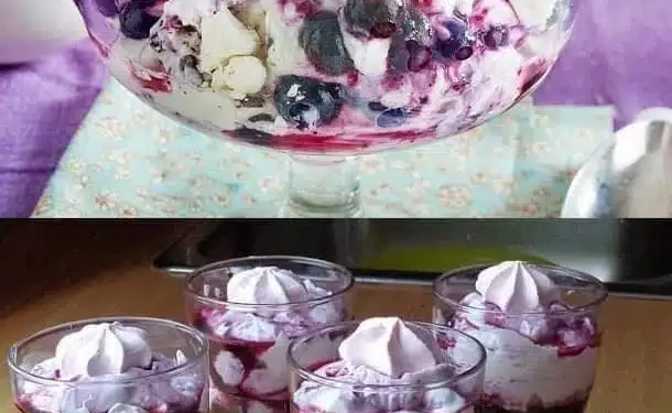 Leckeres heidelbeer-Mascarpone Dessert