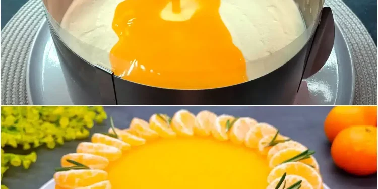 Ultimative Mandarinen – Frischkäsetorte: Torte ohne Backen in 15 Minuten