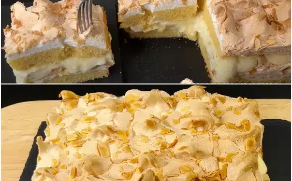 Einer der besten Kuchen die ich gemacht habe, der auf der Zunge zergeht! Besser als Joghurtkuchen!