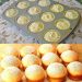 Muffins