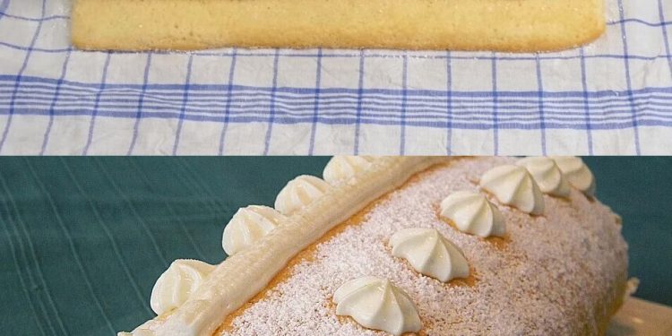 Biskuitrolle mit Zitronen – Quark Füllung, alle sind sprachlos ...