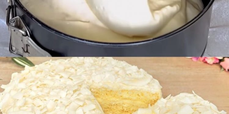 Kokos-Biskuitkuchen, luftig-leicht und schmeckt wunderbar!