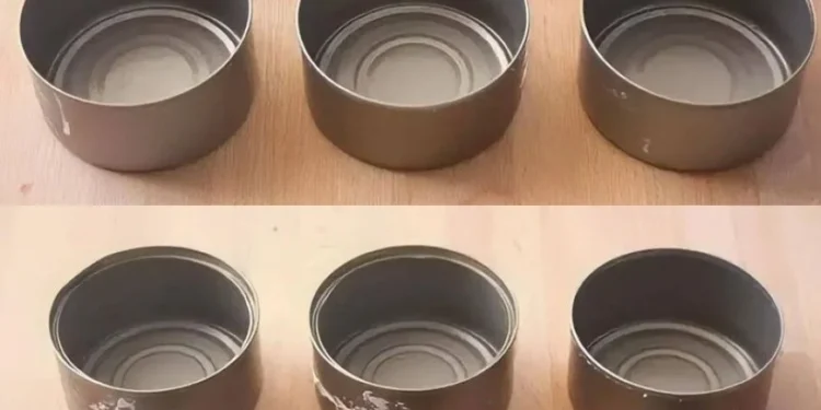 Werfen Sie Thunfischdosen nicht weg, sie sind zu Hause Gold wert: So verwenden Sie sie wieder