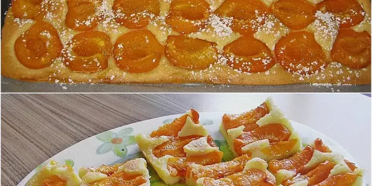 Marillenkuchen herrlich fruchtig