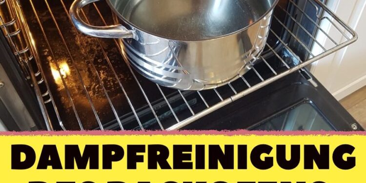 Dampfreinigung des Ofens: Sauber bis in jede Ritze