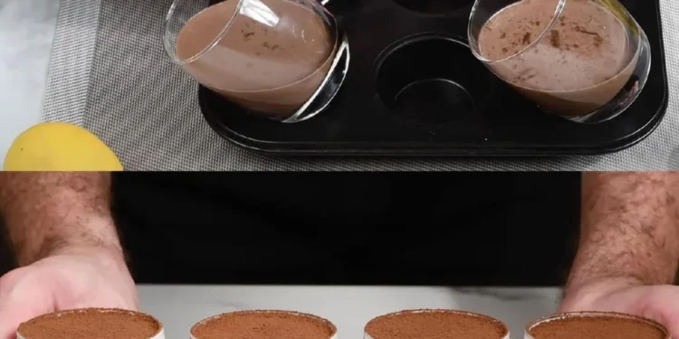 Panna Cotta mit Schokolade und Himbeeren: Einfach und ohne Kochen