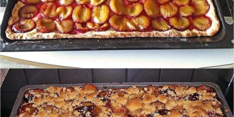 Zwetschgenkuchen vom Blech in 10 Minuten im Ofen