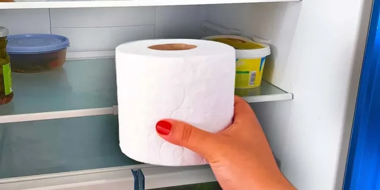 Toilettenpapier in den Kühlschrank legen: Der Zaubertrick, der ein Problem löst, das wir alle haben