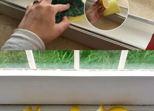 Lass 4 Zitronen auf der Fensterbank liegen