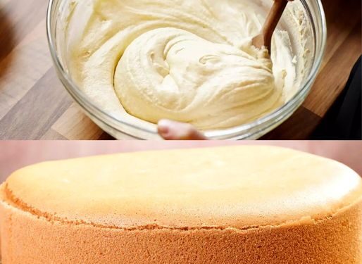 Bäckermeister Biskuitboden sie brauchen nur 5 Minuten und ab in den Ofen