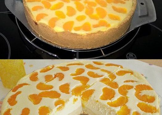 Lecker ohne Ende, Quarkkuchen mit Vanillepudding