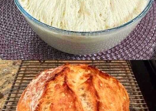 Brot ohne Kneten mit 3 Tassen Mehl