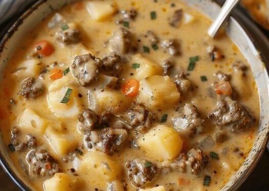 Hamburger Suppe mit 500g Hackfleisch macht lange satt, schnell zubereitet!