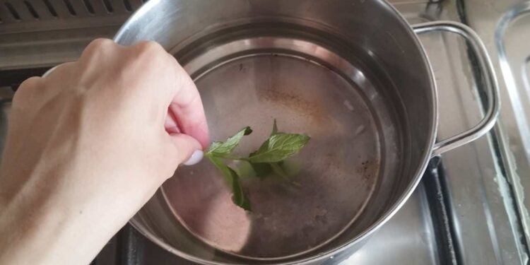 3 Minzblätter in einem Topf aufkochen: 10 Minuten später passiert das im Haus