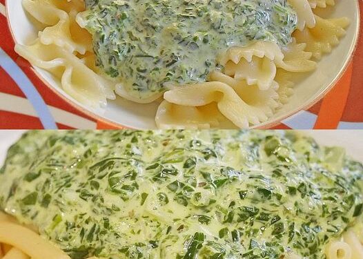 Nudeln mit 650 g Rahmspinat in Frischkäse Soße