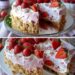 Erdbeerkuchen ohne Backen mit 350 g Mascarpone und Keksbboden