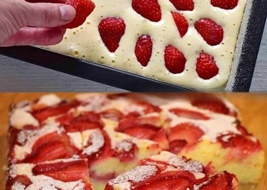 5 Minuten Erdbeer Biskuitkuchen vom Blech ein Tassenrezept