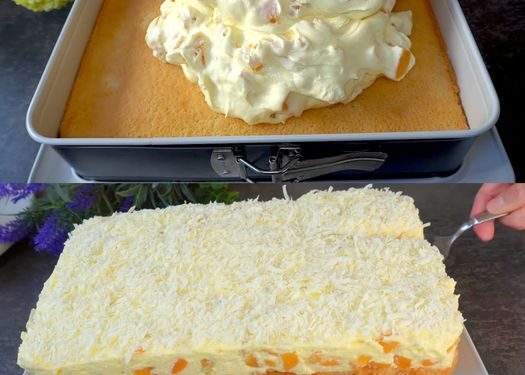 Fantakuchen mit Paradiescreme und 2 Dosen Mandarinen