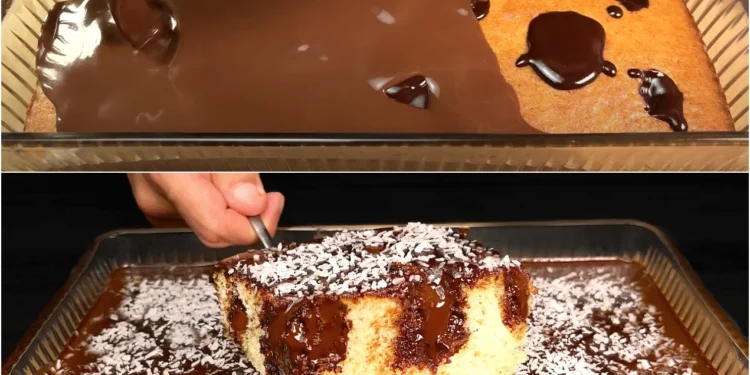 Schokoladenkuchen, der dich geschmacklich begeistern wird!