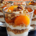 🍊 Spekulatius-Mandarinen-Quark-Creme – Ein weihnachtlicher Genuss mit Frische und Knusper! 🎄🍪