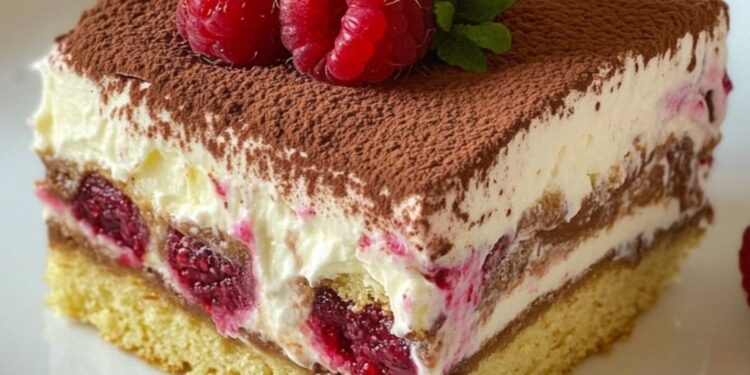 Himbeer-Tiramisu – Fruchtiger Genuss für die ganze Familie!