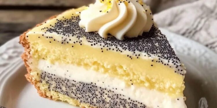 Saftiger Mohnkuchen mit Pudding & Schmand