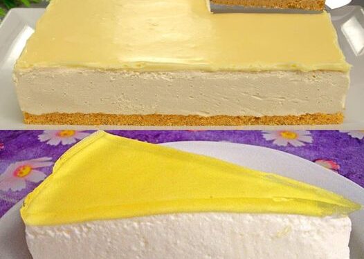 Joghurt Torte ohne Schnickschnack in 15 Minuten zubereitet