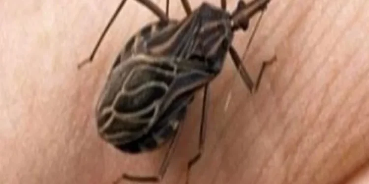 Wenn Sie dies sehen, rufen Sie sofort einen Experten an.