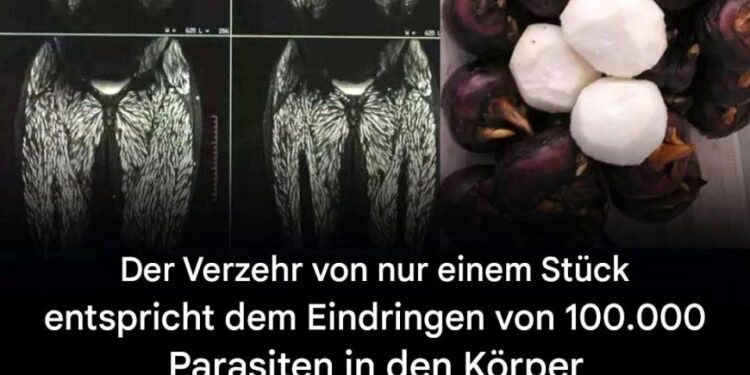 Schon ein einziger Bissen ist schädlich, dennoch essen viele ihn ohne Bedenken