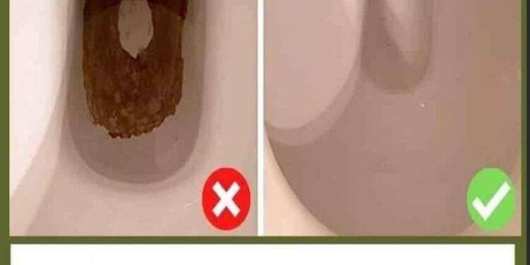 Schwarze Flecken am Boden von Toiletten: Der natürliche Trick, um sie MÜHELOS zu beseitigen
