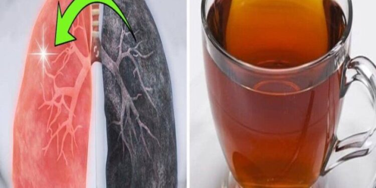 Wie man die Lunge reinigt und alle Niko-tin, Schleim- und Giftrückstände beseitigt