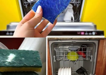 GESCHIRRSPÜLER, VOR DEM START IMMER EINEN SCHWAMM EINLEGEN: DER GRUND