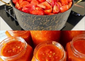 Tomatensauce mit 250ml Essig die mache ich jedes Jahr