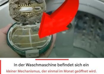 Sollte einmal im Monat geöffnet werden