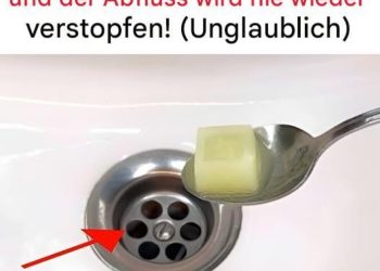 Die natürliche Lösung für einwandfreie Rohre