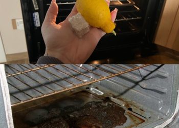 Wenn Sie einen sauberen und duftenden Ofen wünschen, verwenden Sie diese beiden Zutaten nach jedem Gebrauch