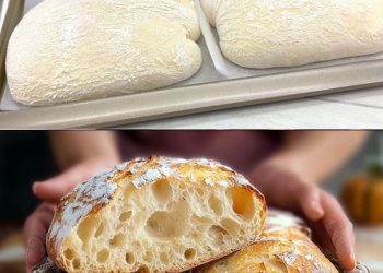 Perfektes italienisches Brot in 1 Stunde ohne Kneten bekommen