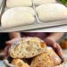 Perfektes italienisches Brot in 1 Stunde ohne Kneten bekommen