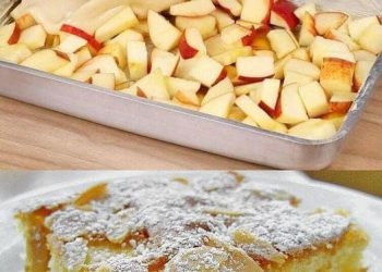 Schneller Apfelkuchen mit Vanillepudding in 10 Minuten im Ofen